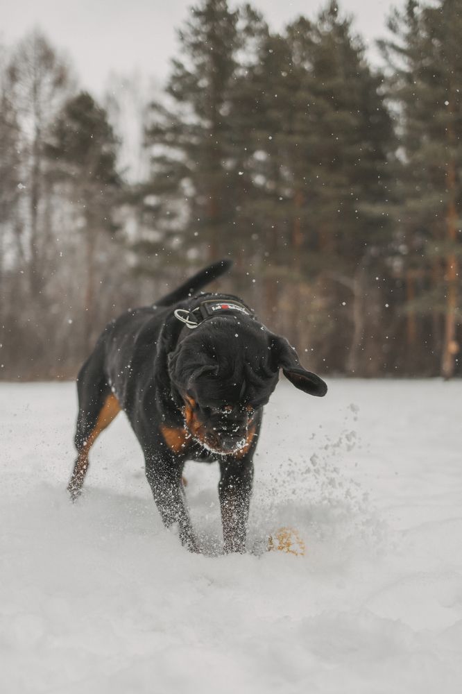 Фотография автора Марина