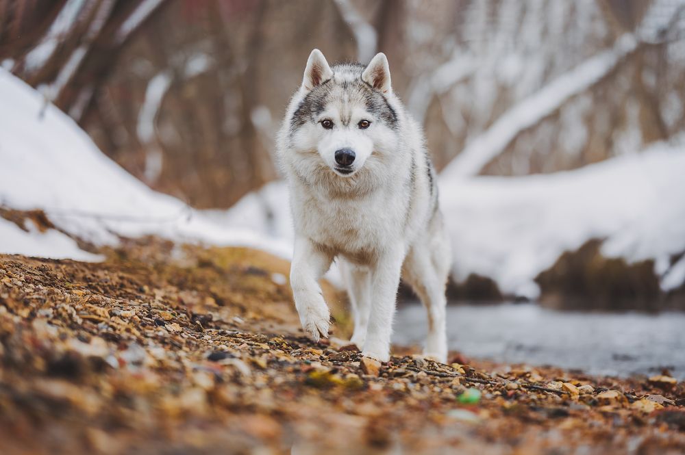 Photograph by Kate Entsi