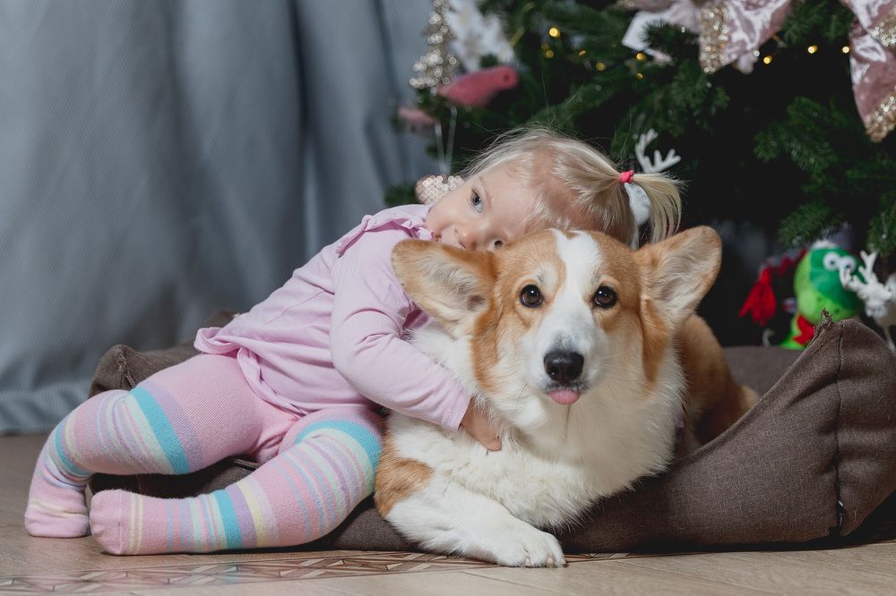 Фотография автора Елена