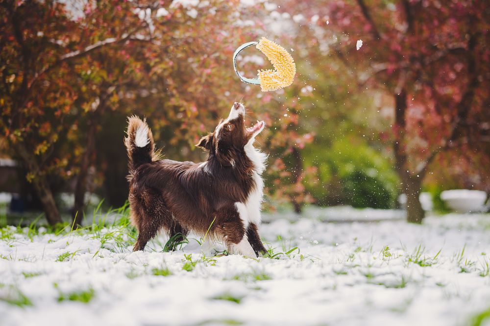 Photograph by Kate Entsi