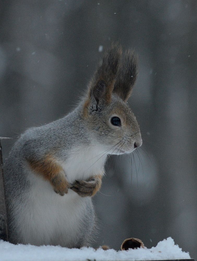 Photograph by Алексей Volg