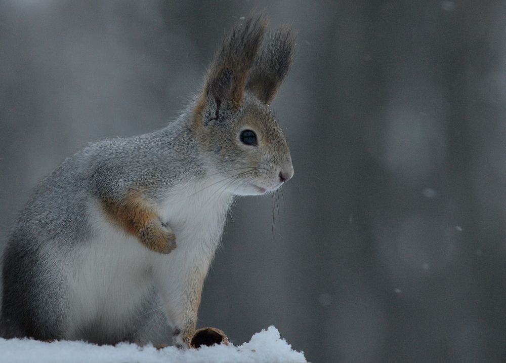 Photograph by Алексей Volg