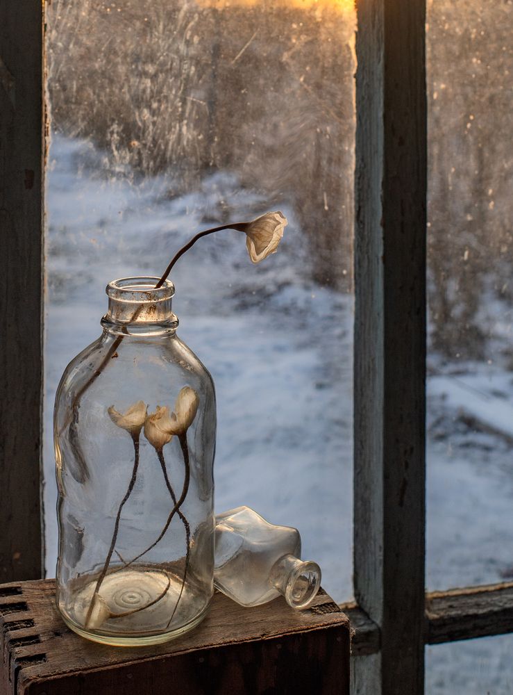 Фотография автора Tатьяна Дин