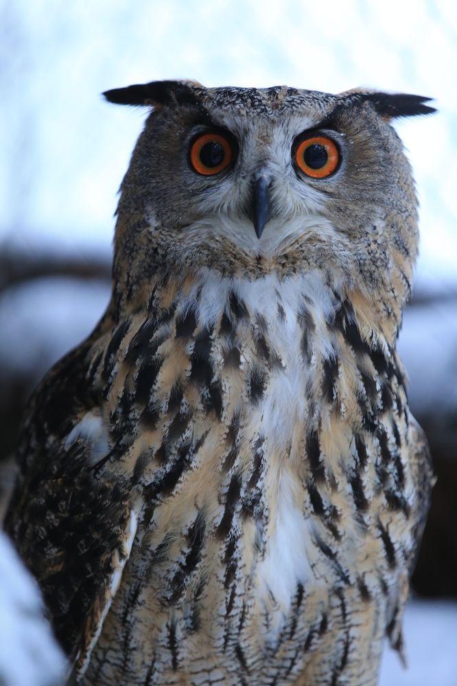 Фотография автора Юрий Кетель