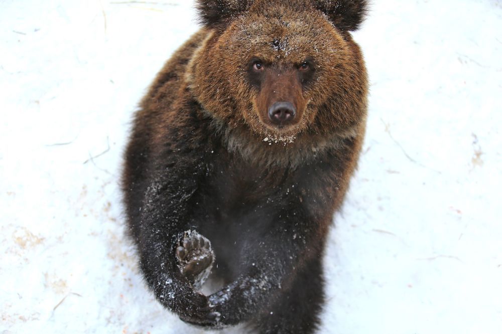 Фотография автора Юрий Кетель