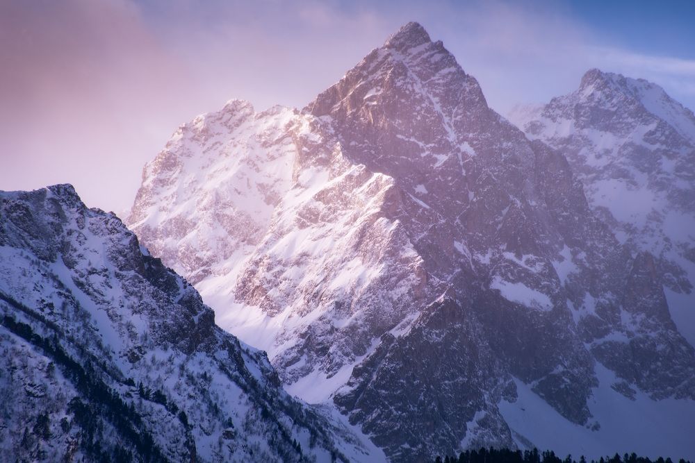 Фотография автора Petrova Anastasia