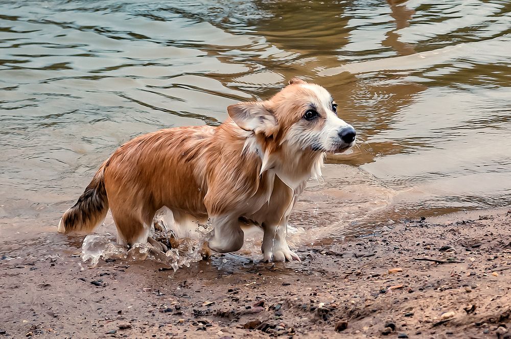 Фотография автора Yakovlev Artur