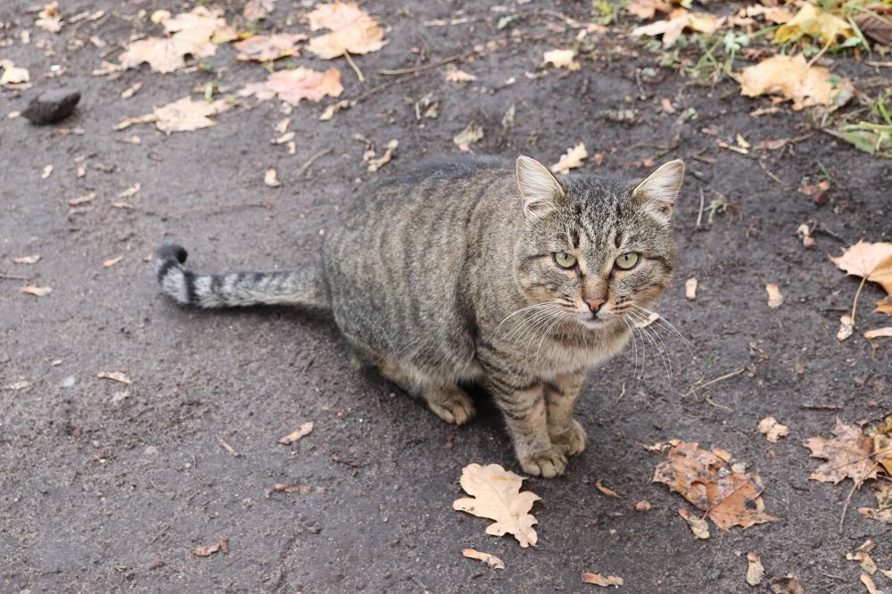 Photograph by Nadin Gaaze