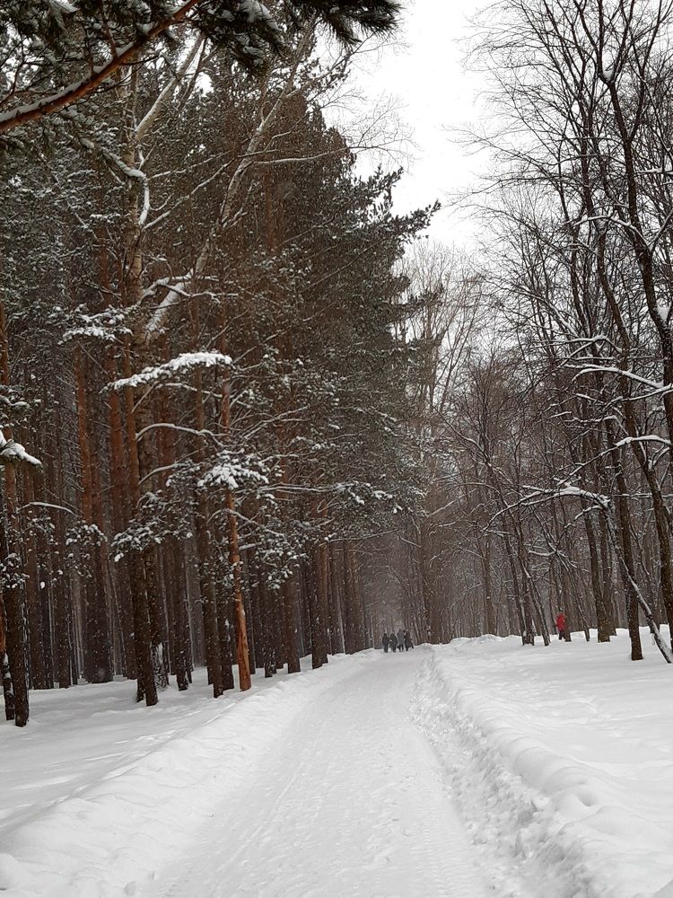 Мобильная фотография.
