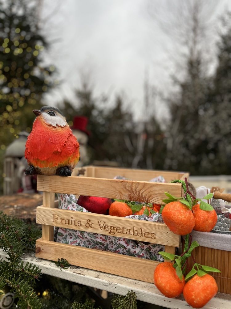 Фотография автора Виктория Ляпина