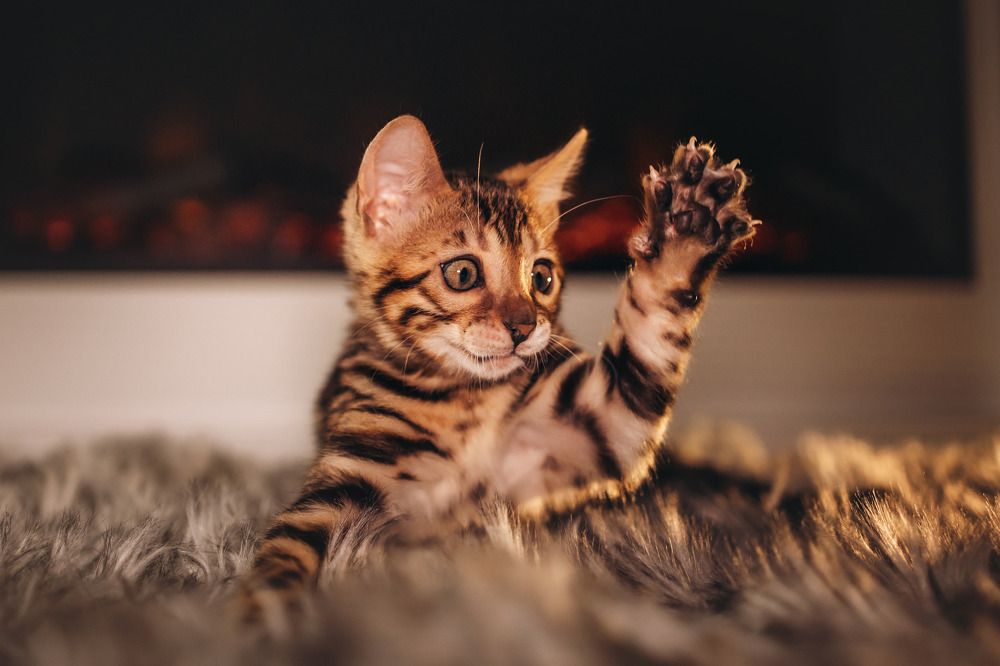 Фотография автора Марина Дятлова