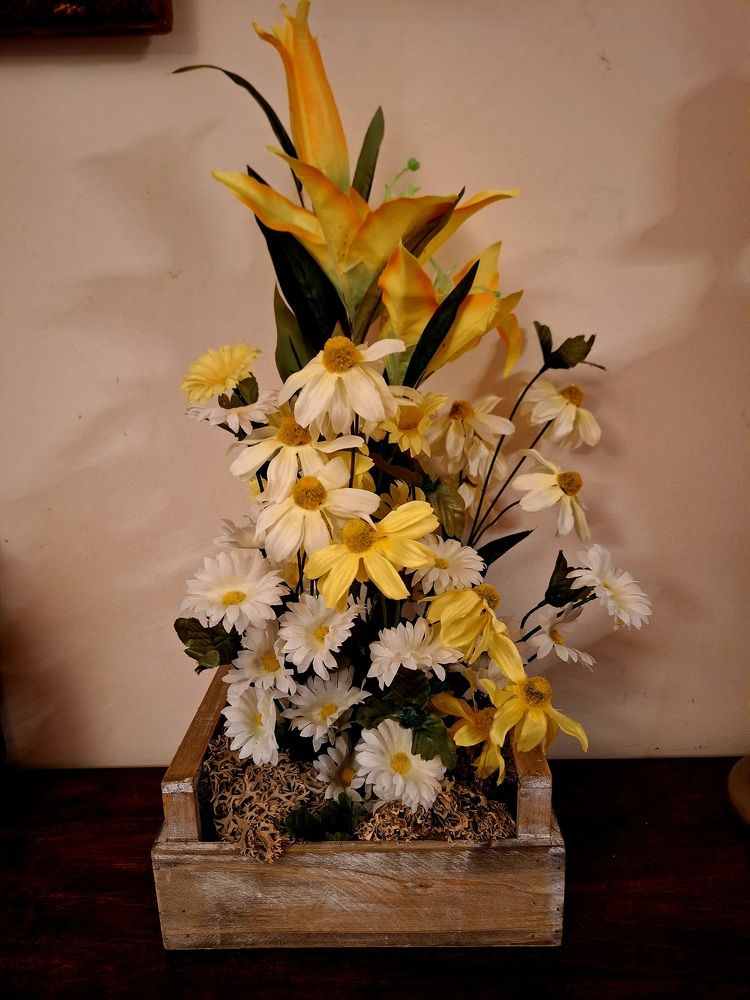 Photograph by Sonia Crotta