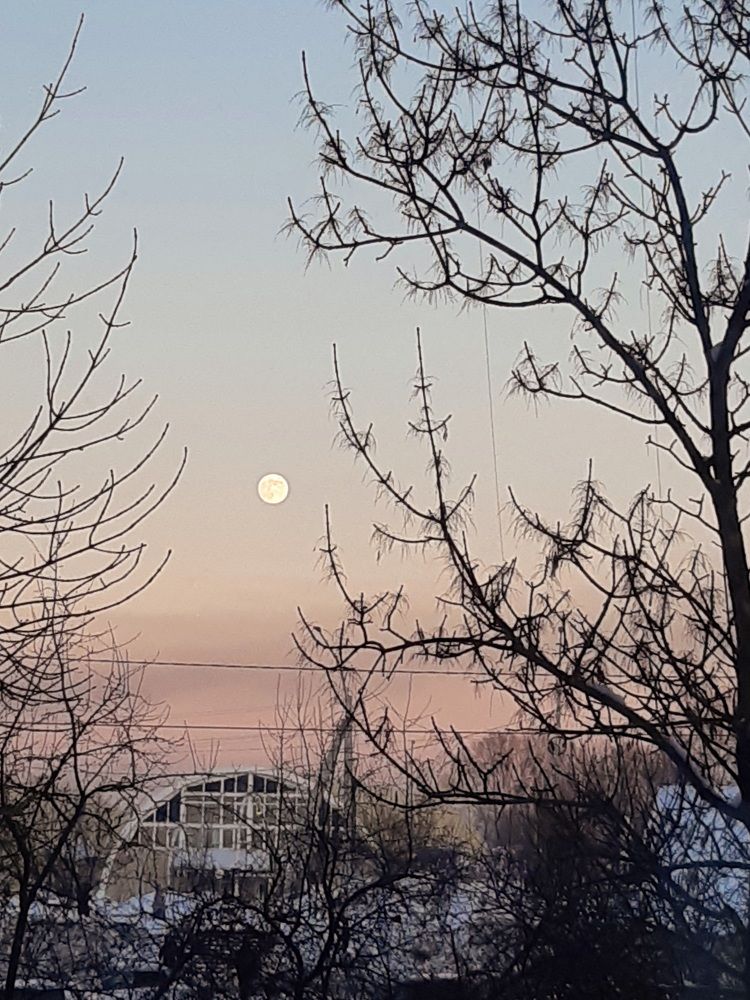 Фотография автора Наталья Шендяпина