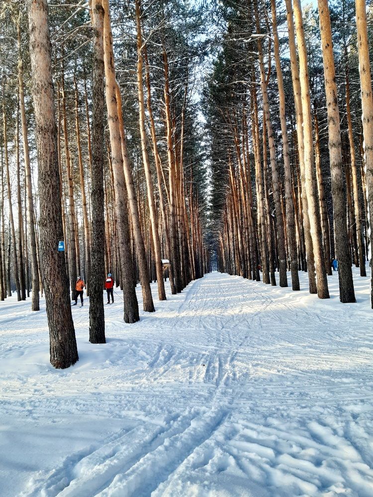 Фотография автора Наталья Шендяпина