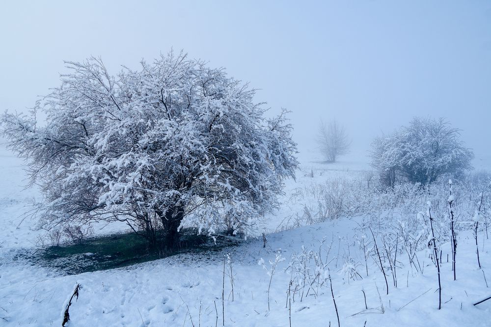Фотография автора Вадим Коваленко