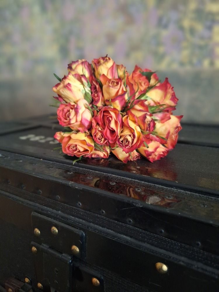 Photograph by Sonia Crotta