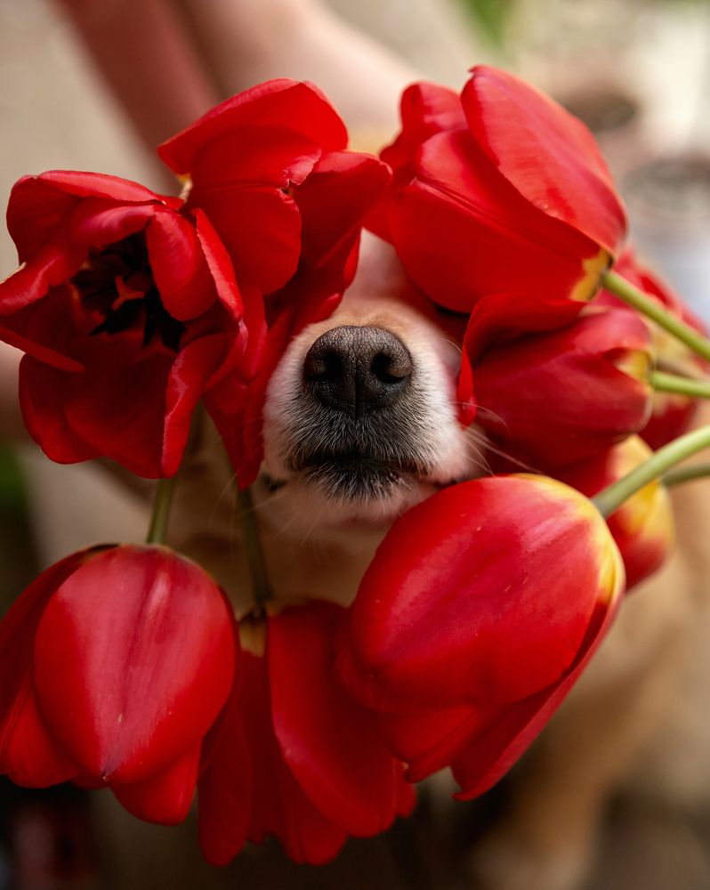 Photograph by Татьяна Цолина