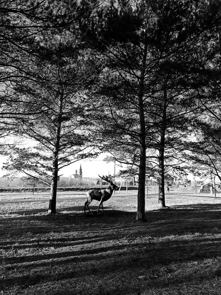 Фотография автора Юлия Сурина