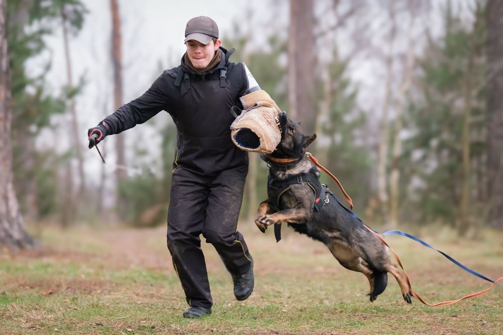 Фотография автора Dina Damotseva