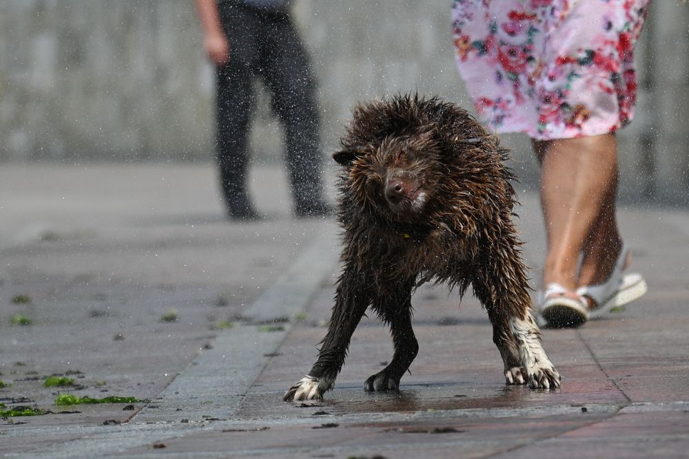 Photograph by Олег