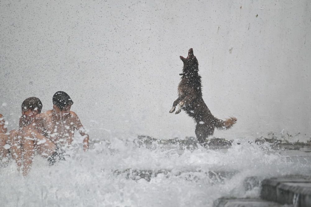 Photograph by Олег