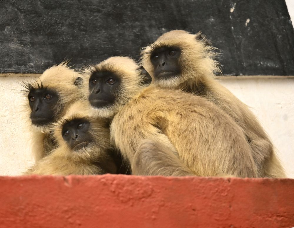 Photograph by Rajesh Kumar