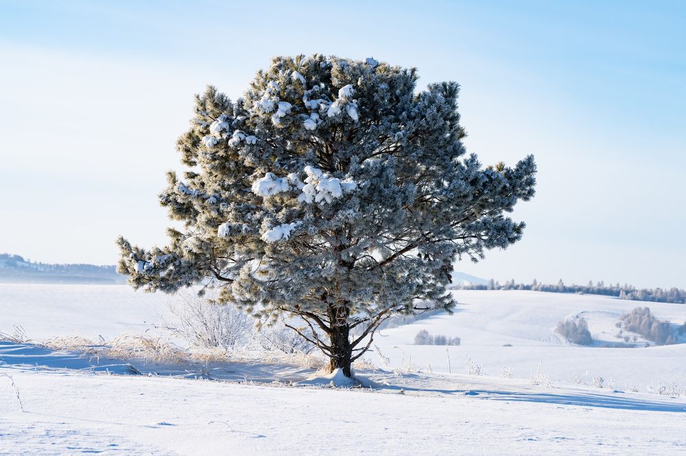 Photograph by Василий Снигирь