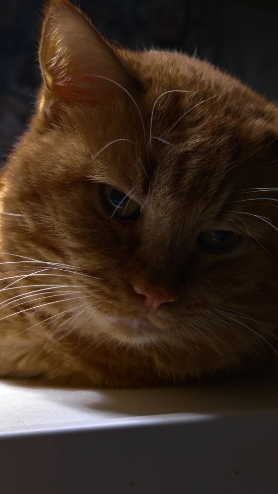 Photograph by Brook Zorg [DeD]