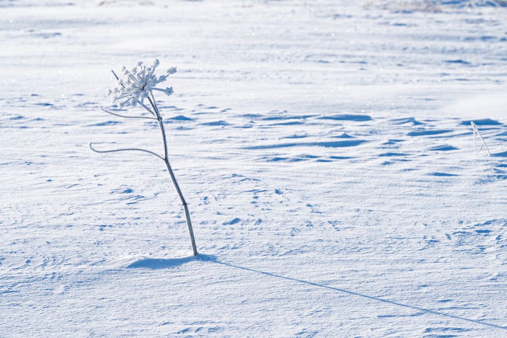 Photograph by Василий Снигирь