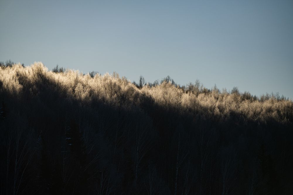 Photograph by Василий Снигирь