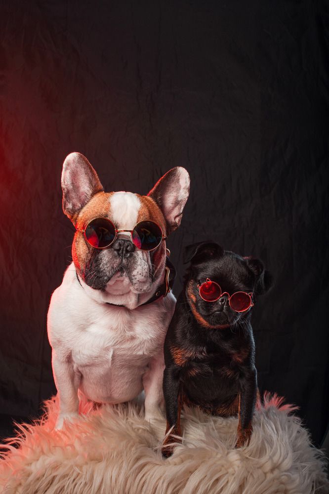 Photograph by Татьяна Степанова