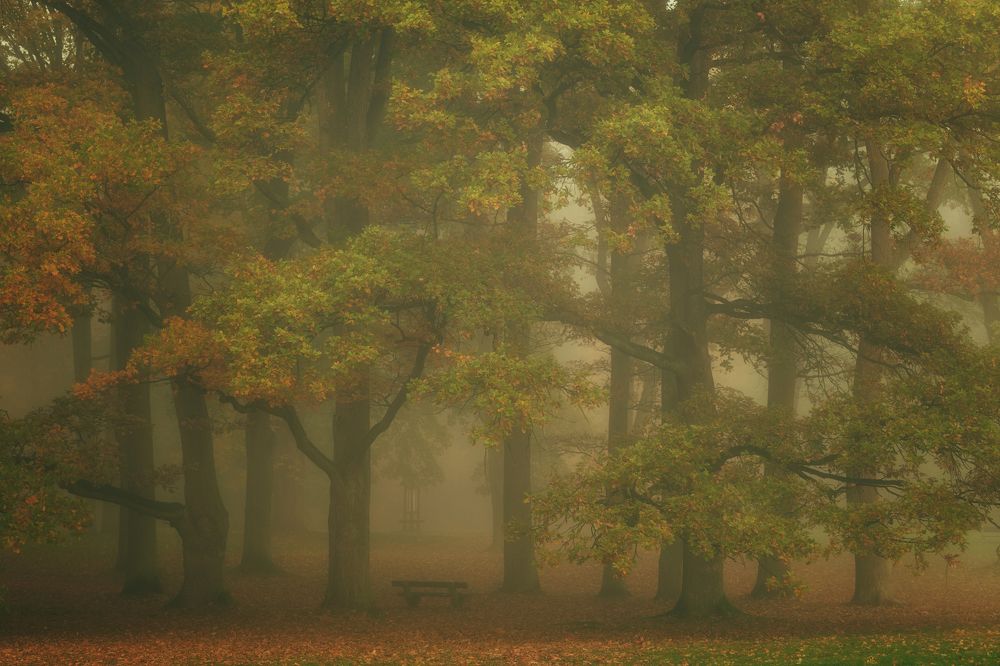 Photograph by Milan Samochin