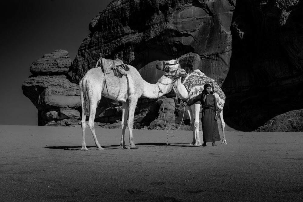 Фотография автора Talal Abodeshish