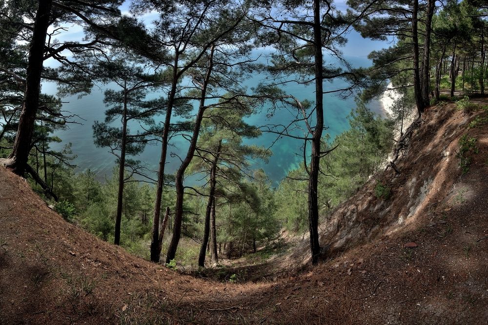 Photograph by Алексей Никонов