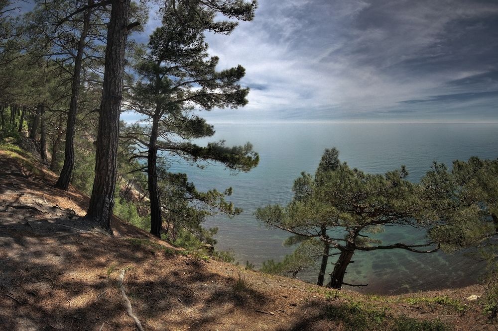 Photograph by Алексей Никонов