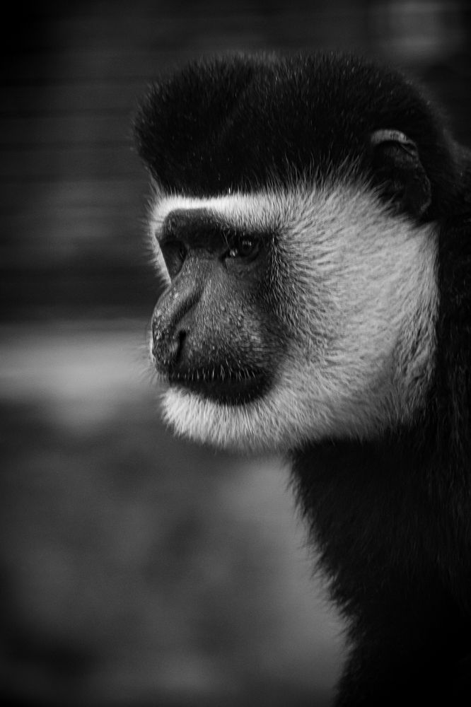 Photograph by Елена Берсенёва