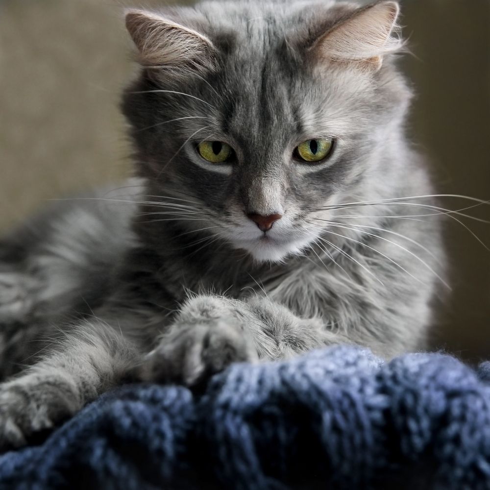 Photograph by Елена Кондратьева