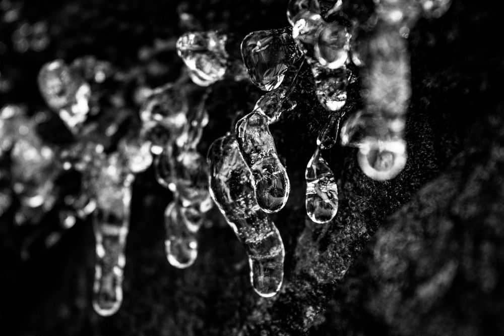 Photograph by BARBARA IVONNE MARTIN MILLAN