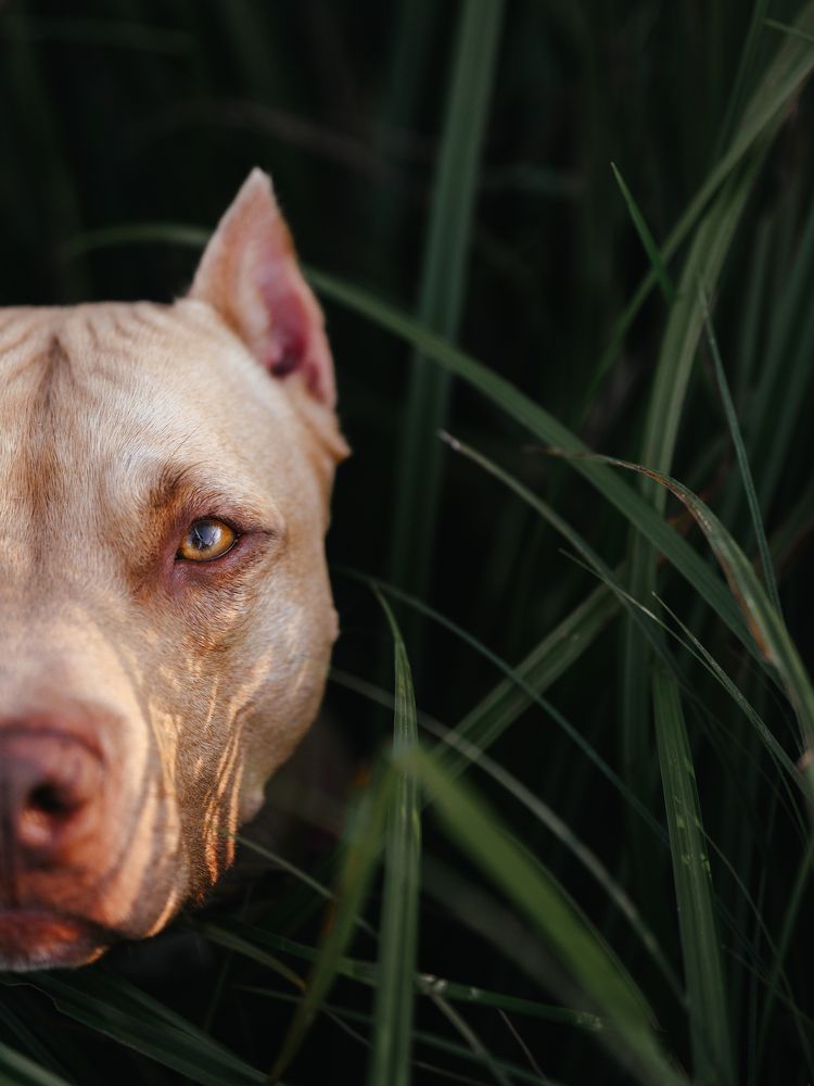 Photograph by Мария Ананьева