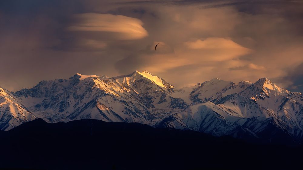 Инопланетный десант