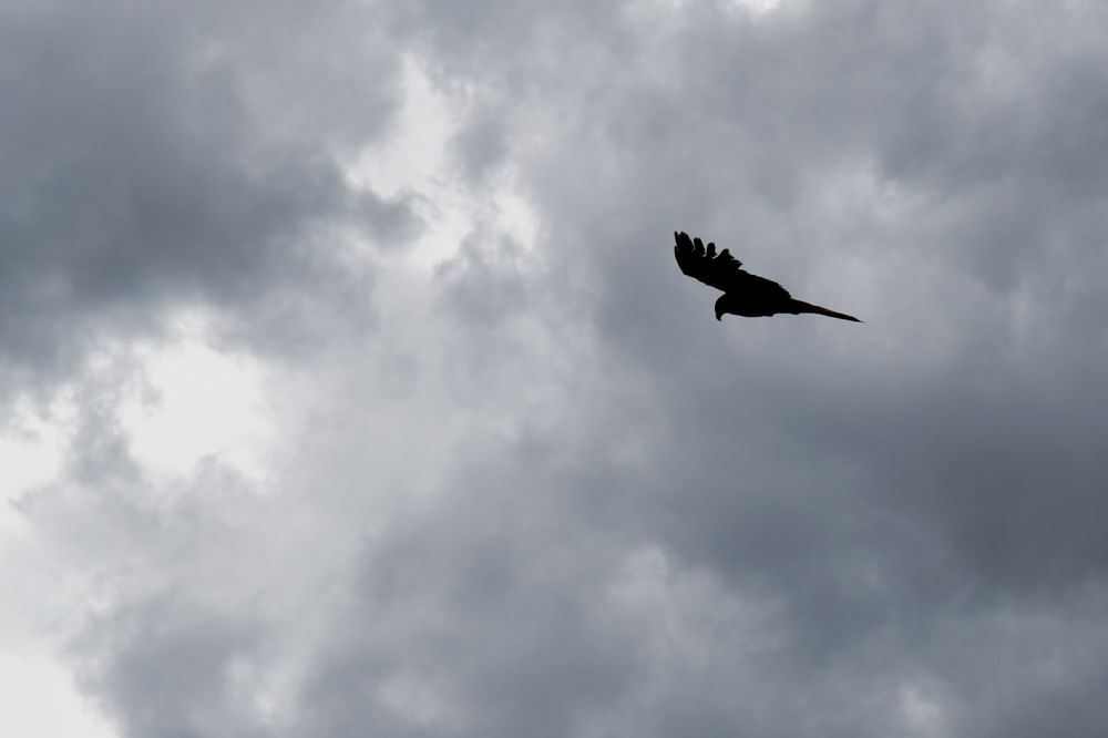 Photograph by Екатерина Осколкова