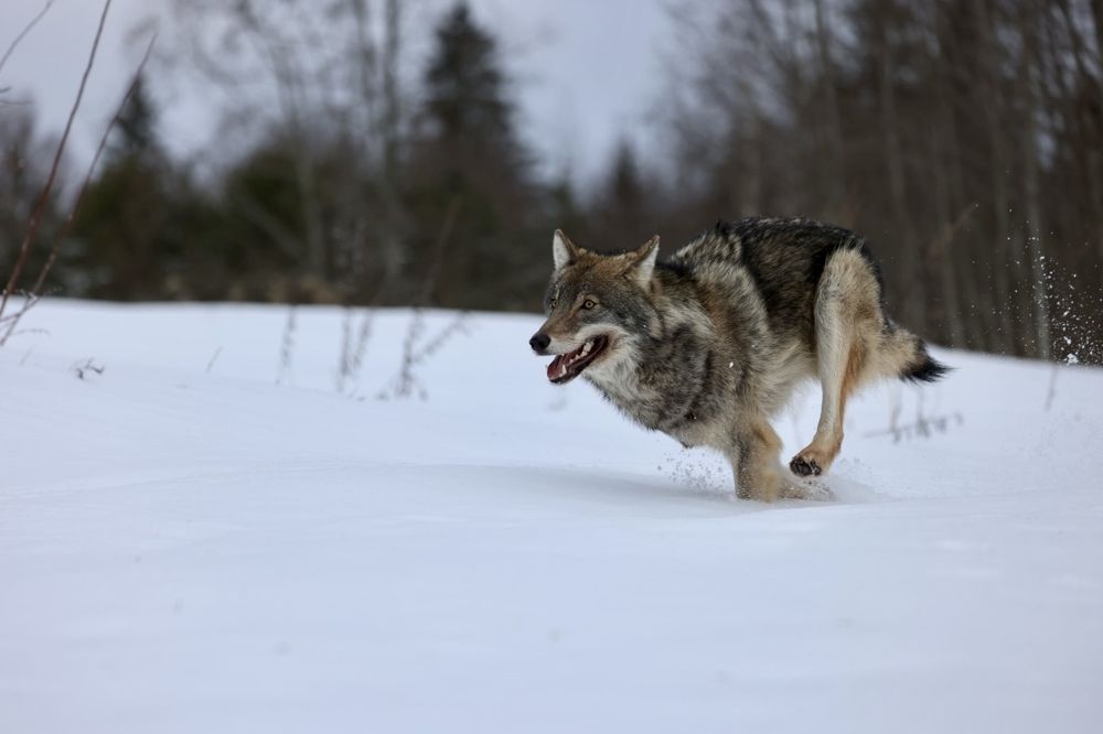 Photograph by Одаренко Ольга