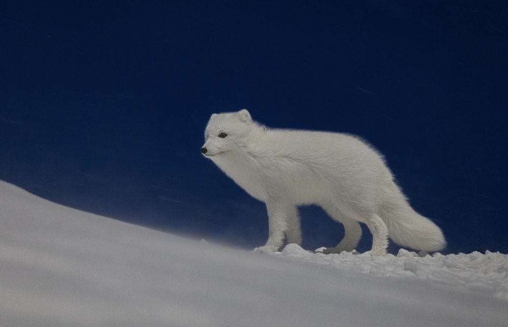 Photograph by Антон Дроздов