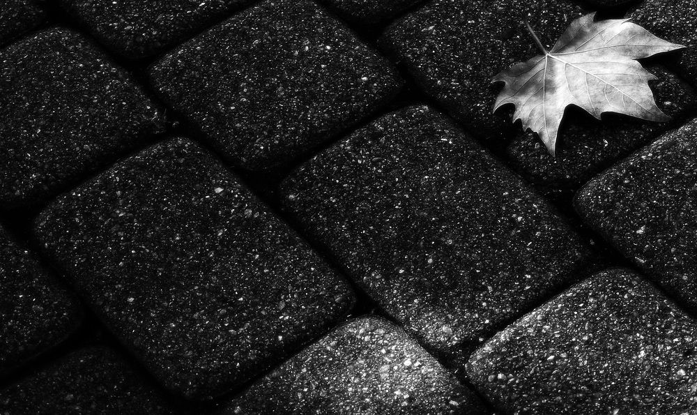 Фотография автора Сергей Гречихин