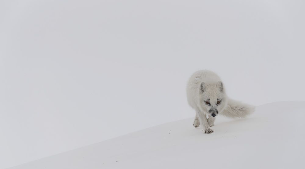 Photograph by Антон Дроздов