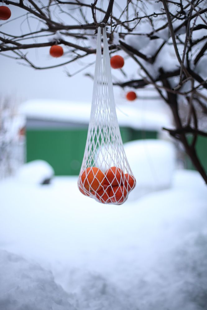 Photograph by Алексей Шевцов