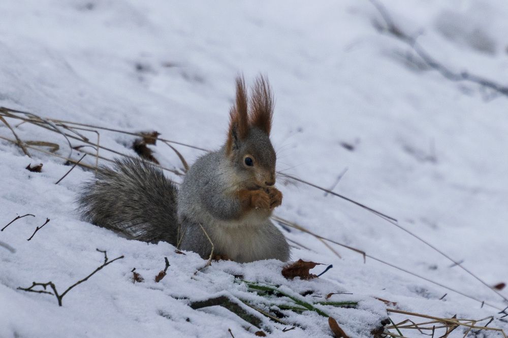 Photograph by Лилия Кондратьева