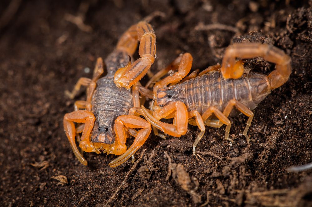 Photograph by SOUFIANE EL KADAOUI