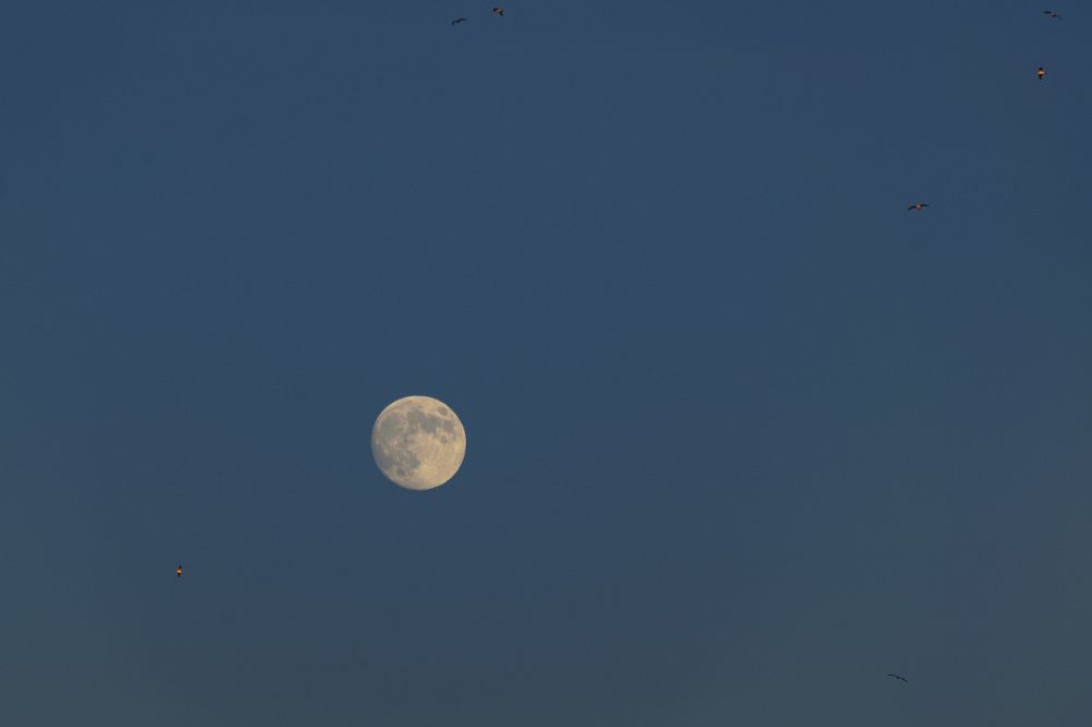 Photograph by Лилия Кондратьева