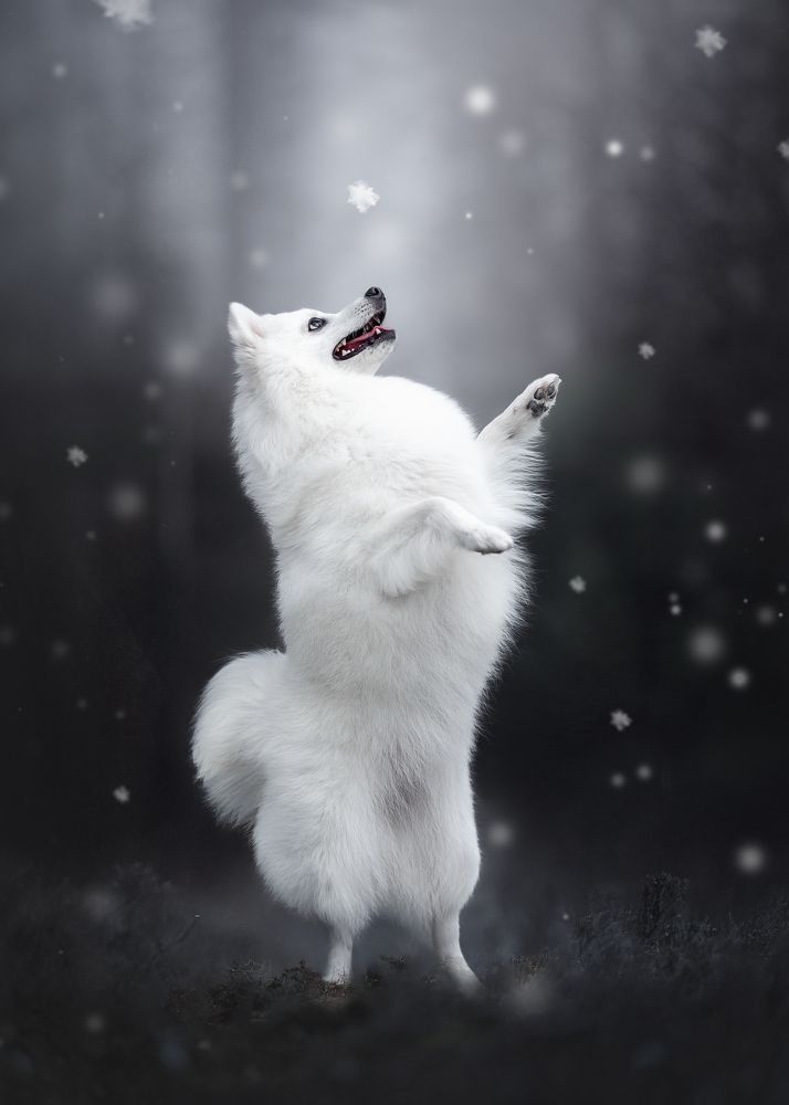 Photograph by Наталья Орел